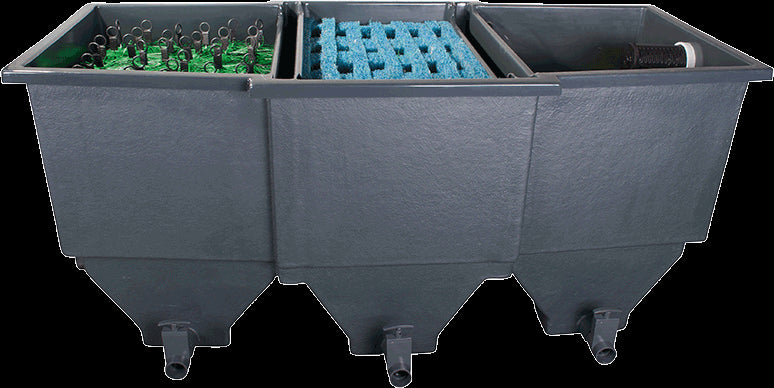 Filtration biologique bassin