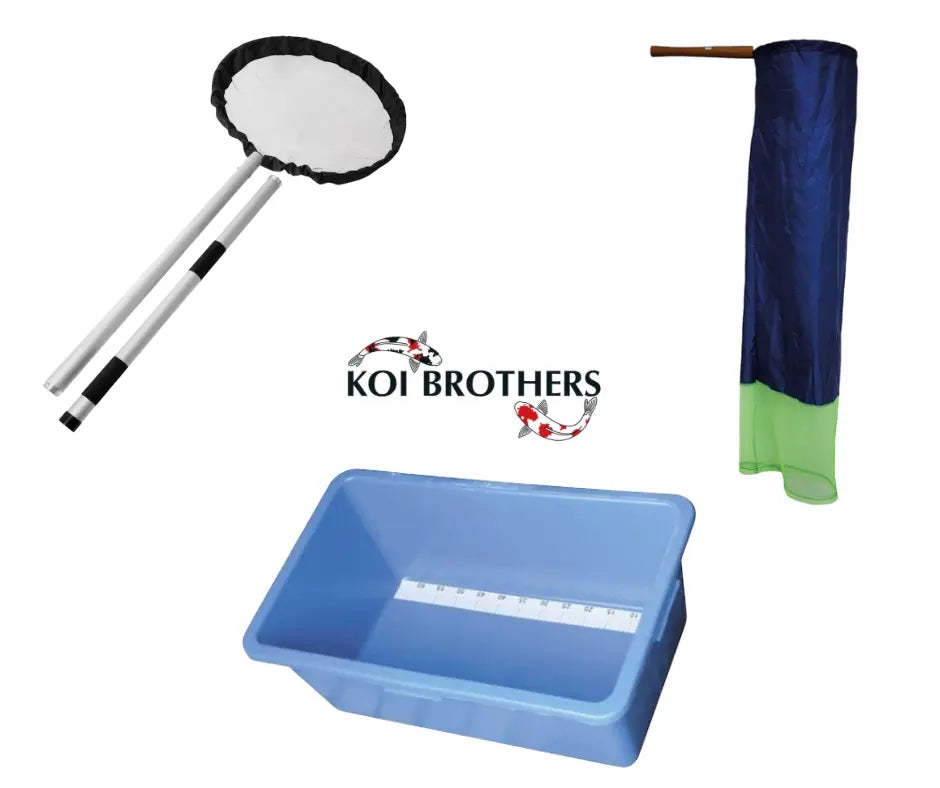 Manipulations Koi Brothers