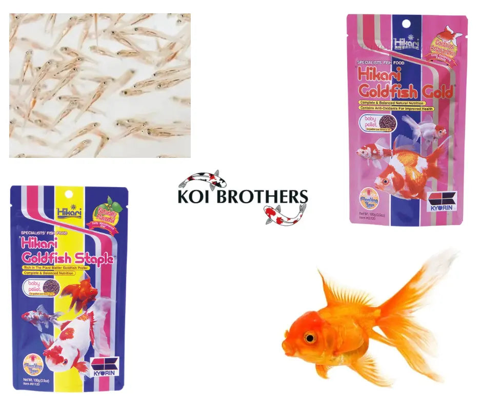 Nourritures-Poissons-rouge-et-Alevins Koi Brothers
