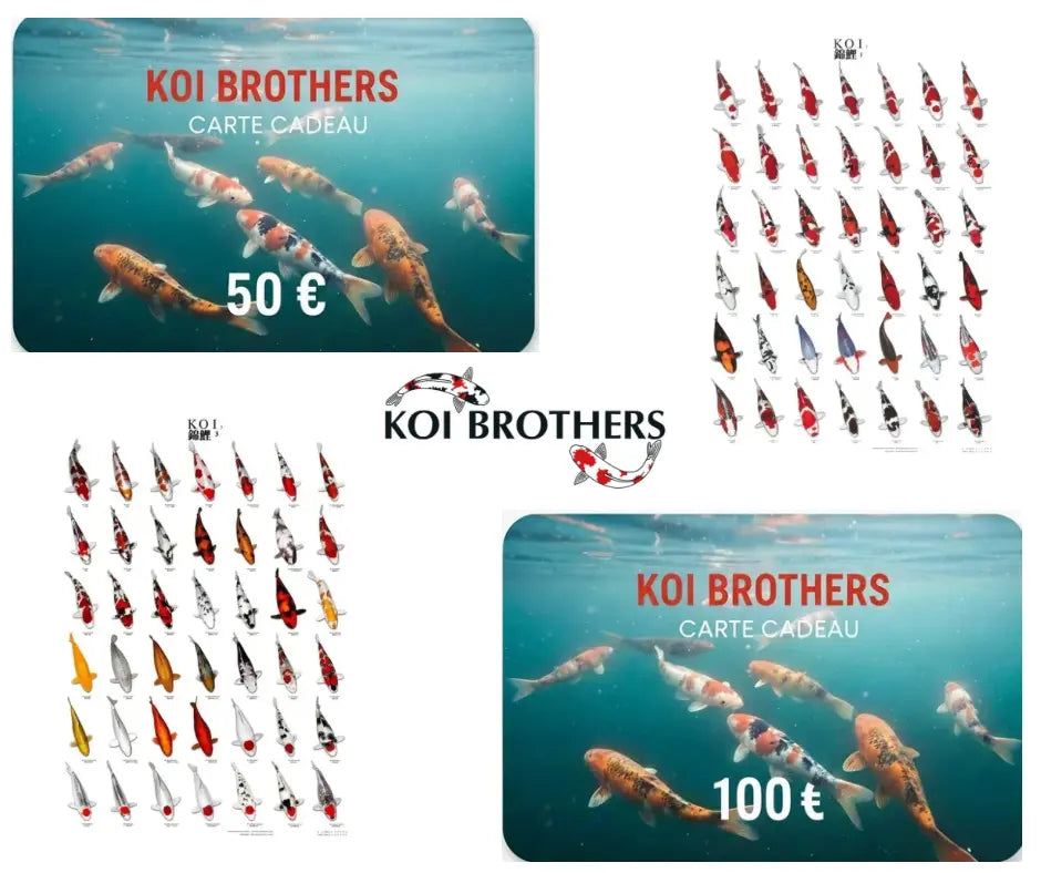 Cadeau Koi Brothers