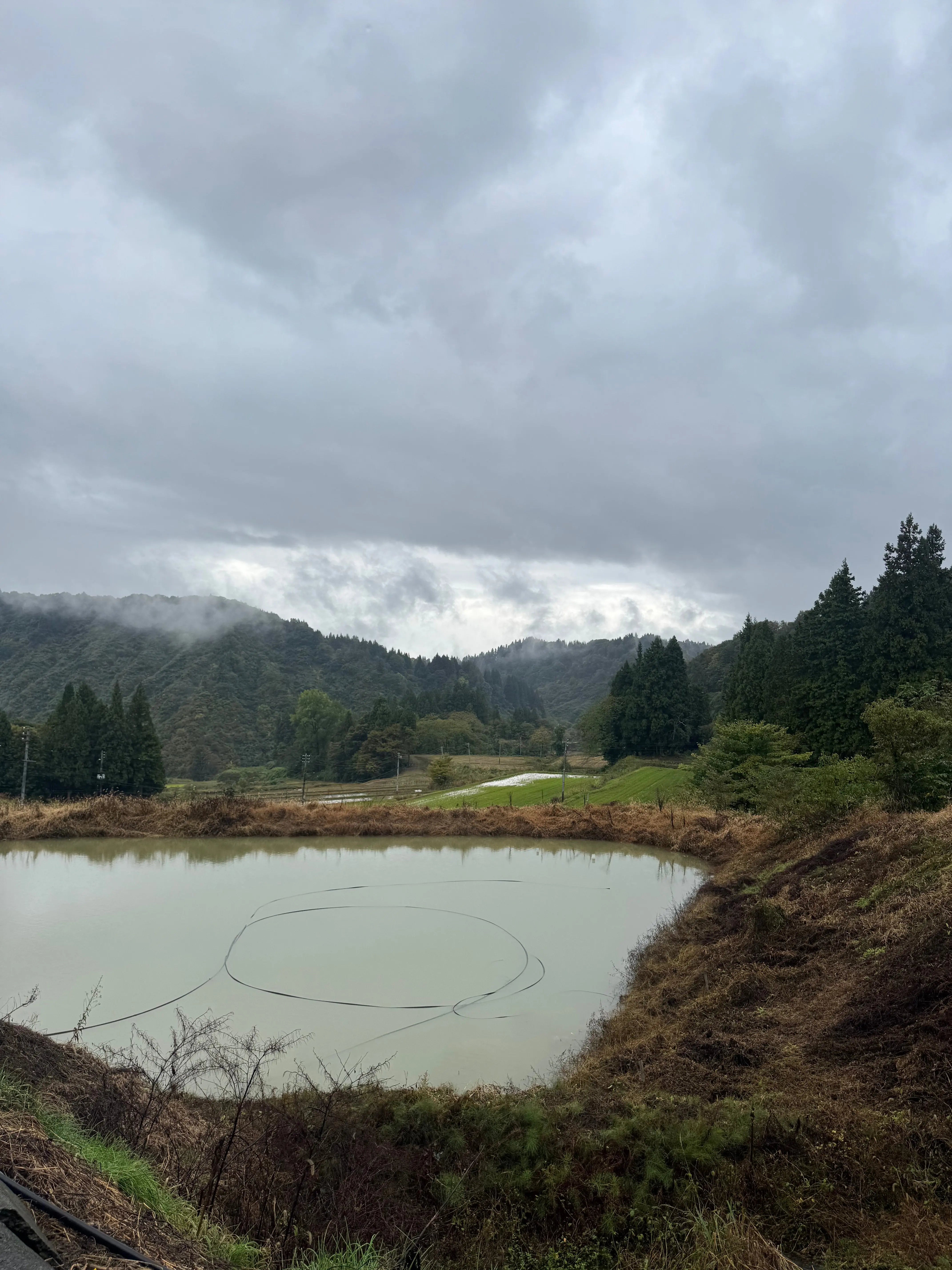 Sélection-Japon-2026 Koi Brothers