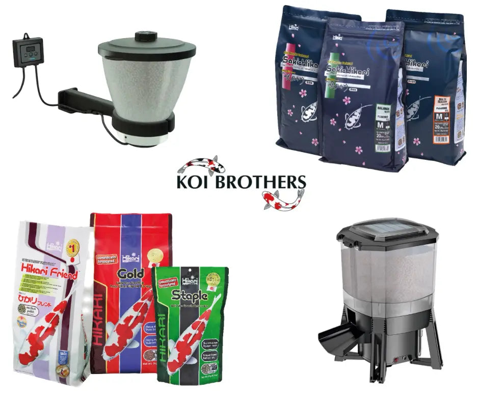 Alimentation-des-poissons Koi Brothers