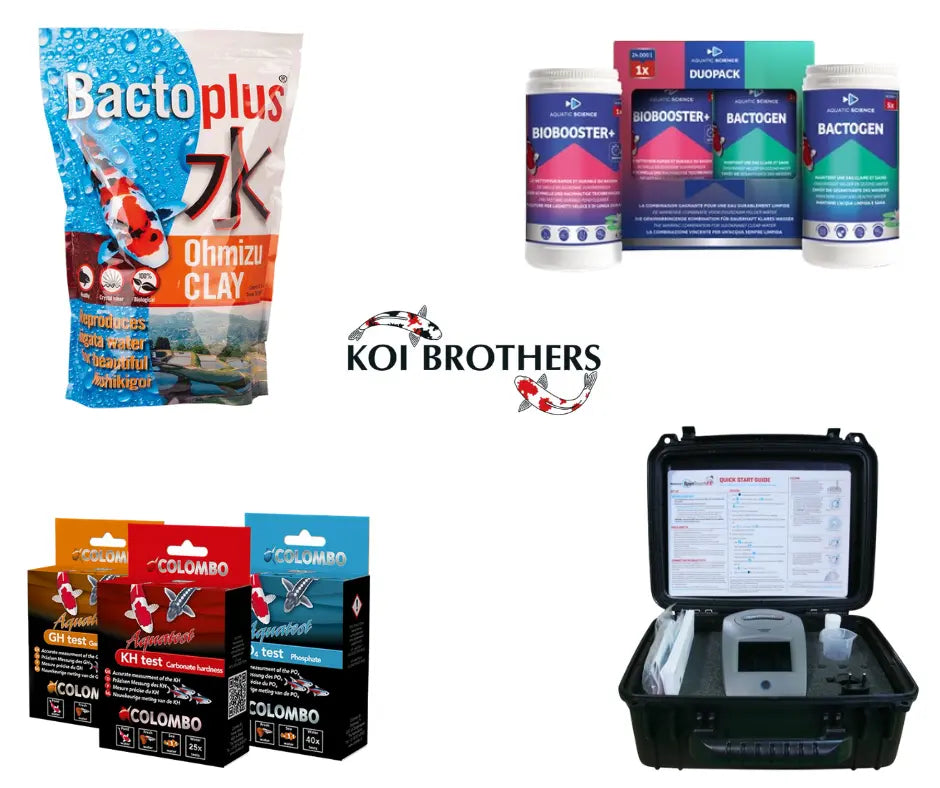 Entretien-et-Soins-du-bassin Koi Brothers