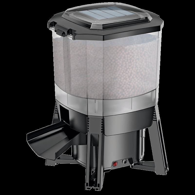 Solar Fish Feeder