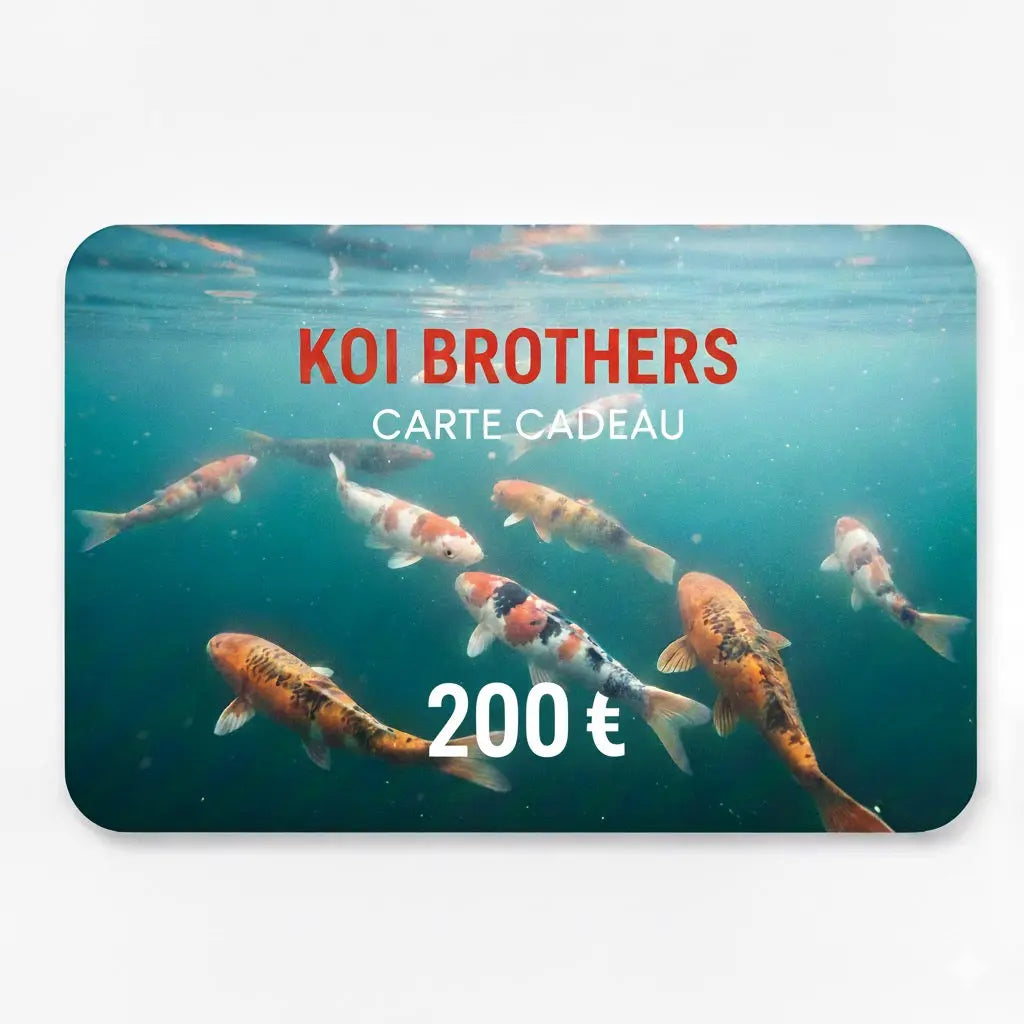 Carte cadeau Koi Brothers