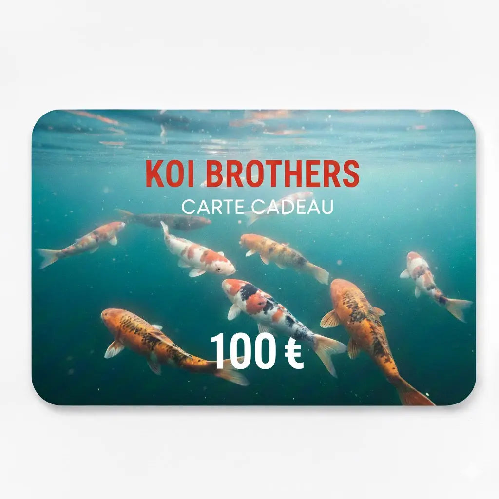 Carte cadeau Koi Brothers