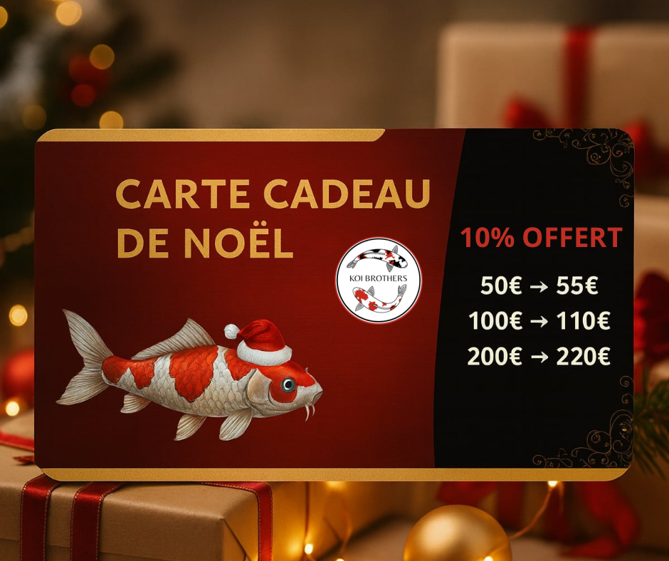 Carte Cadeau