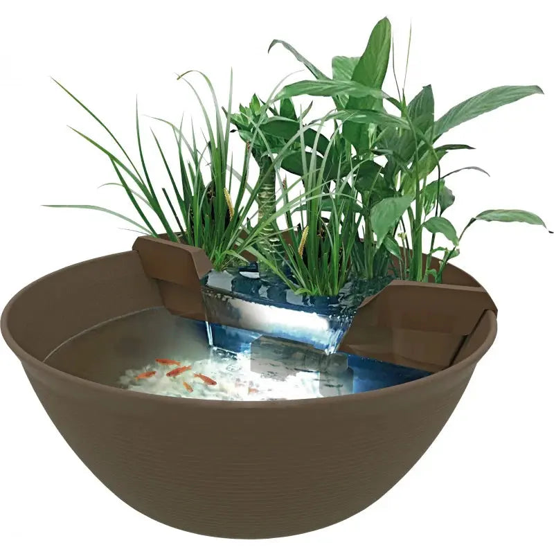 SF Mini Pond Marron SUPERFISH