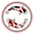 Koi Brothers logo